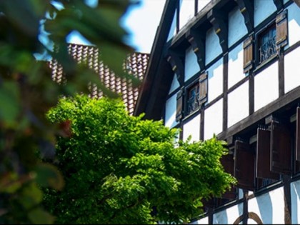 照片: Baumhove
